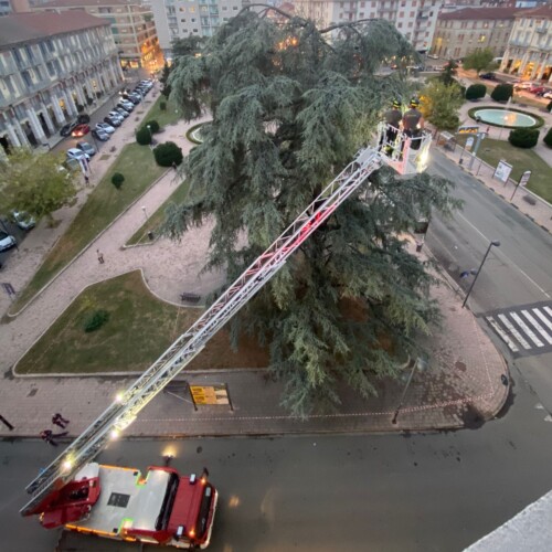 Ramo pericolante in piazza Matteotti ad Alessandria: altri interventi dei Vigili del Fuoco in provincia