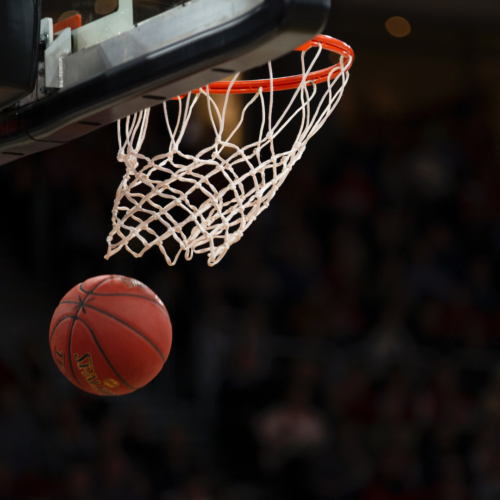 Play-in B2: il calendario della Riso Scotti Pavia nel Girone Gold