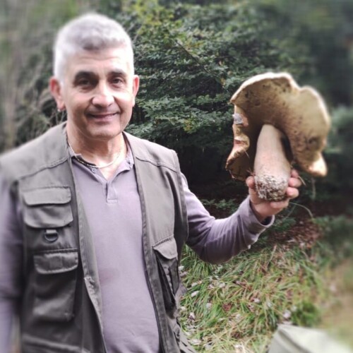 Cercatore di Bassignana trova un porcino da record
