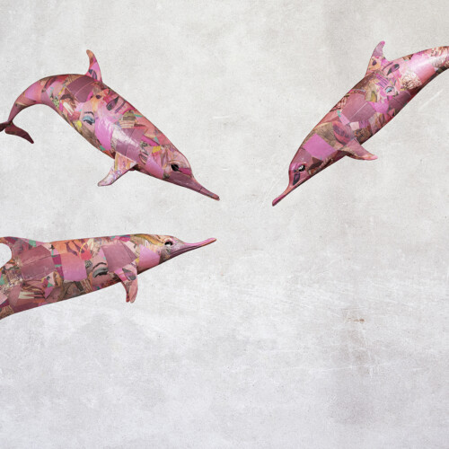 Alle Sale d’Arte di Alessandria le creature marine dell’artista Alice Zanin