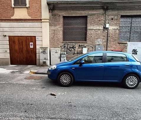 Da via Piave a piazza Genova cittadini segnalano topi lungo le strade di Alessandria