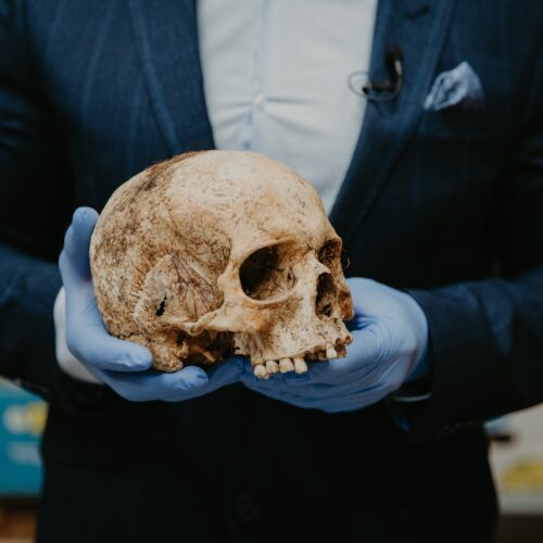 Indiana Jones presto sarà anche un robot. L’AI e l’archeologia