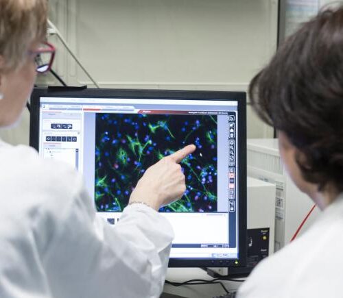 Medici ucraini a Pavia per specializzarsi in riabilitazione bimbi con traumi da conflitto