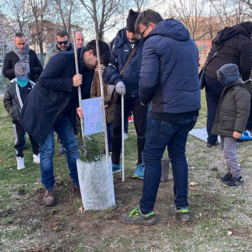 “Alberi per il futuro”: l’iniziativa del Movimento 5 Stelle ad Alessandria, Novi e Tortona