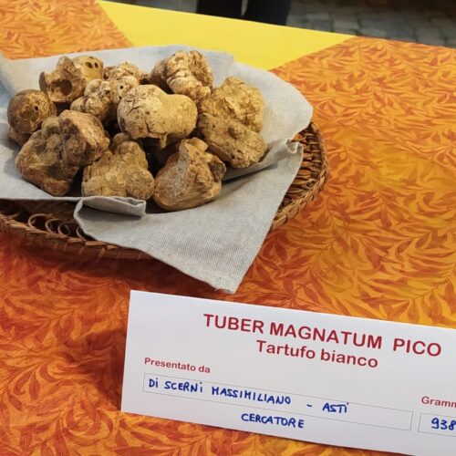 Tartufi, sapori autunnali e moltissimi colori con la Fiera di San Baudolino