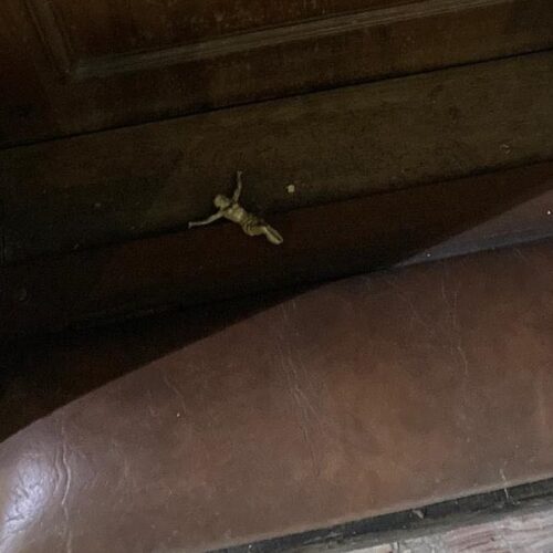 Altro atto vandalico in una chiesa alessandrina: crocifisso staccato dal confessionale e gettato a terra