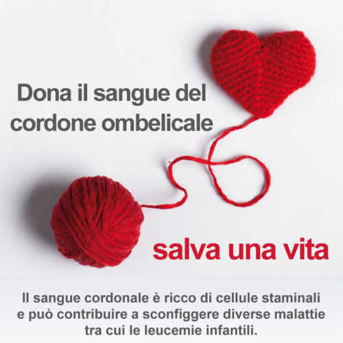 Alessandria prima città per donazione di cordoni ombelicali: martedì la festa