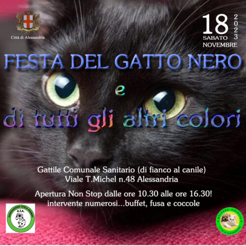 Una festa al gattile per smontare la superstizione dei gatti neri