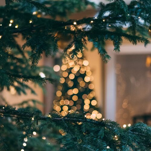 Venerdì si accende il Natale a Valenza: si comincia dall’albero in piazza Gramsci