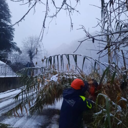 Neve ad Acqui: Protezione Civile rimuove le piante dalla carreggiata in Regione Lacia