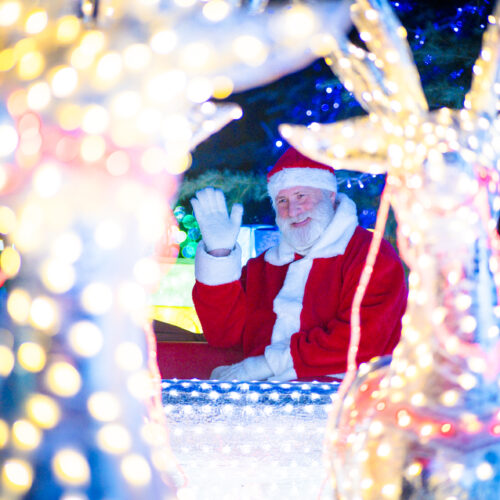 Cosa fare durante le feste: le 700mila luci di Natale di Leggiuno
