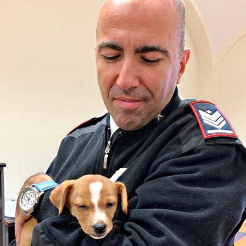 Una donazione per cani e gatti bisognosi in memoria di Fabrizio. Così amici e colleghi ricordano il Carabiniere amico degli animali
