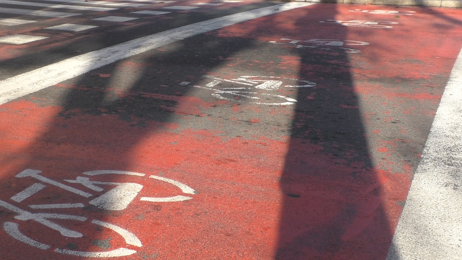 Ad Alessandria proseguono i lavori sulle corsie ciclabili