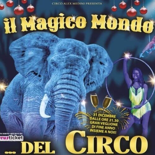 Dal 22 dicembre ad Alessandria il circo con animali virtuali, rappresentati da giochi di luce