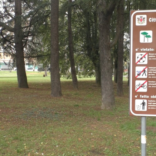Nuove piante ai giardini pubblici, Lega: “Perché i grillini dicono no?”. Assessore Serra: “Problema di sicurezza”
