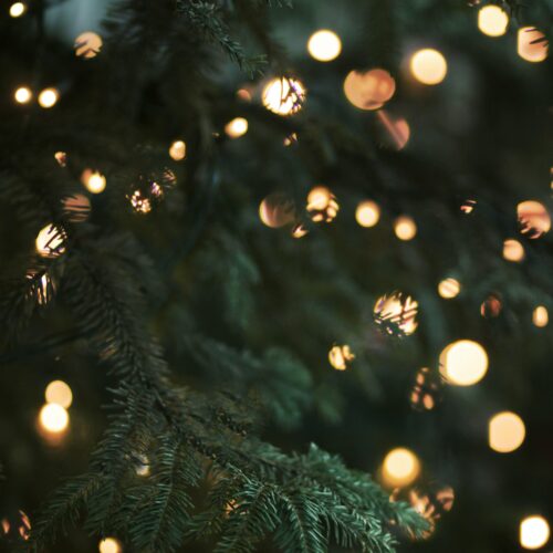 A Santa Lucia l’accensione dell’Albero di Natale della Città di Alessandria