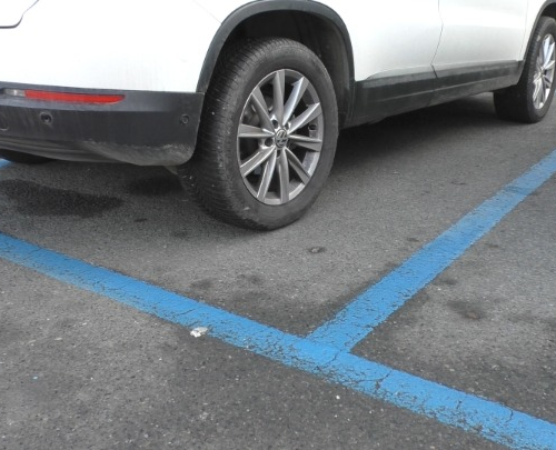 Estate: parcheggi blu gratuiti a Pavia dal 5 al 31 agosto