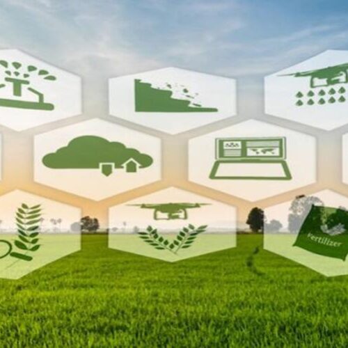 Dal 10 gennaio le domande per accedere ai fondi a sostegno dell’agricoltura di precisione