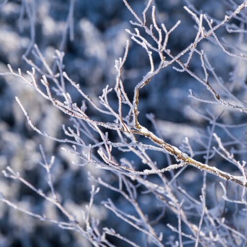 In provincia cala la quota neve: martedì sera possibili fiocchi tra i 200 e i 400 metri