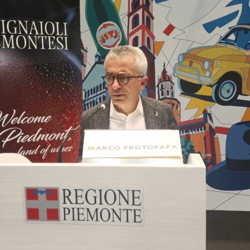 Vendemmia 2023, annata “molto buona” in Piemonte: produzione in calo ma resta il 2^ miglior fatturato italiano