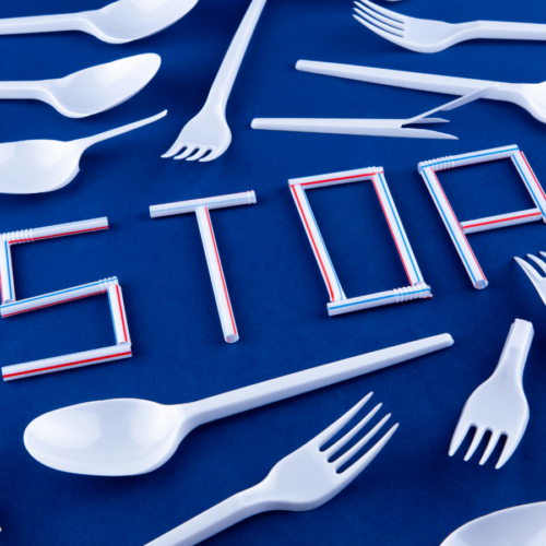 Sostenibilità: Pavia e Landriano tra i 111 comuni “Plastic Free”
