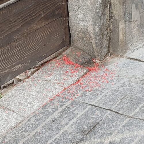Segnalata la presenza di possibile veleno per topi in via Rivetta a Casale