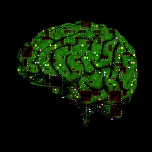 Pavia cuore pulsante del futuro: l’Università entra nel CdA di Chips-IT