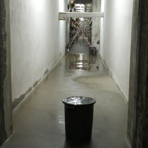 Perdita d’acqua e crollo di parte del soffitto al cimitero di Alessandria: “Interventi entro l’anno”