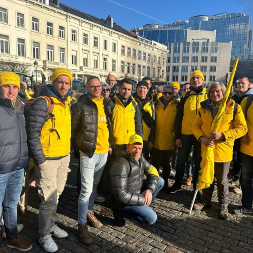 Protesta degli agricoltori a Bruxelles, presente anche Coldiretti Alessandria: “Stop alle follie dell’Europa”