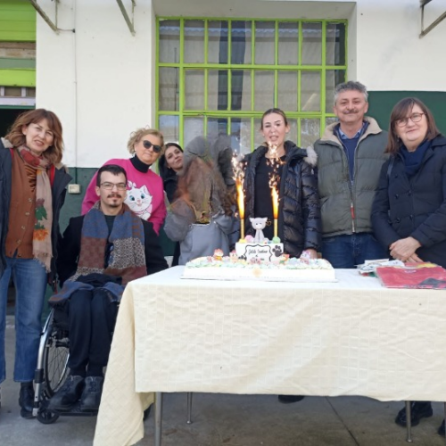 Festa del Gatto: fino alle 17 il Gattile di Alessandria è aperto. Vicesindaco Barrera: “Un grande successo”