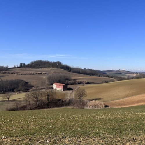 Presto uno short film sul Monferrato: casting per due attrici professioniste