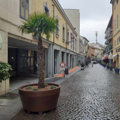 Via San Lorenzo ora ha le sue palme