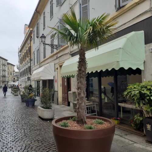 “La città nostra” replica a chi critica e sistema tra le palme una “cassetta dei suggerimenti”