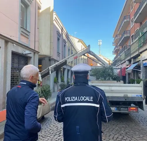 Il 29 febbraio arrivano le palme de “La città nostra” in via San Lorenzo