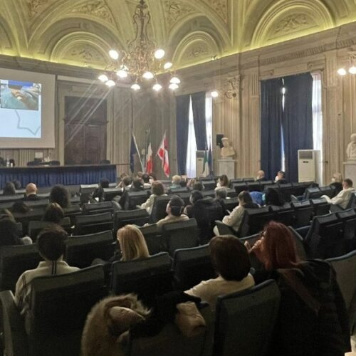 Il 29 febbraio “Rari in rete”, l’evento dell’Ospedale di Alessandria dedicato alle malattie rare