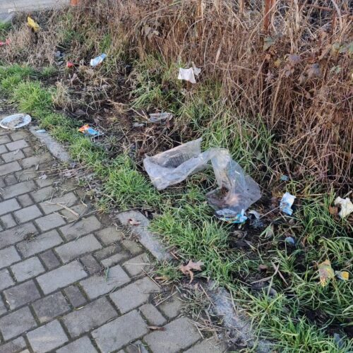 Rifiuti, buche e scarsa illuminazione in via Umberto Giordano: le segnalazioni dell’associazione Alessandria Sud