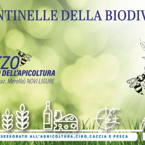 Giovedì 7 marzo a Novi incontro sulle api sentinelle al Museo dell’Apicoltura