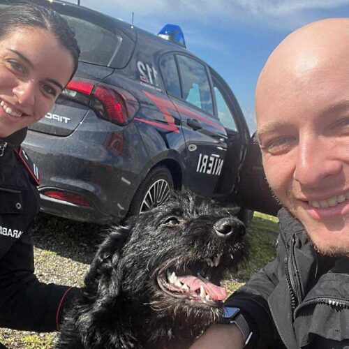 I Carabinieri del quartiere Cristo ritrovano Asso, un cane smarrito nella zona industriale