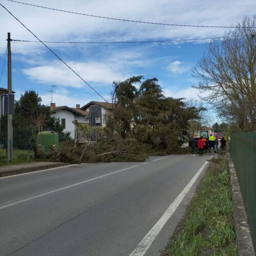 Forti disagi nel vogherese per il vento: a Codevilla alberi caduti e case senza corrente
