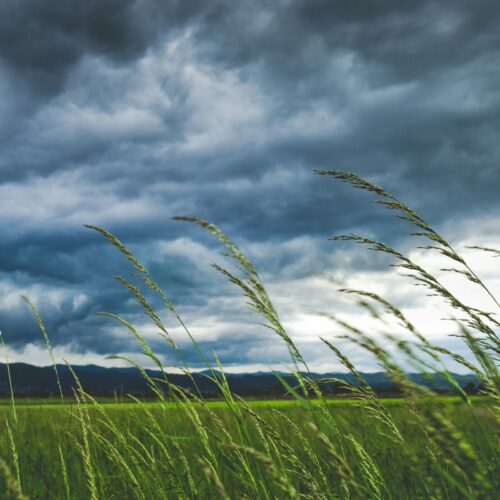 Migliorano le condizioni meteo ma possibili temporali nel pomeriggio