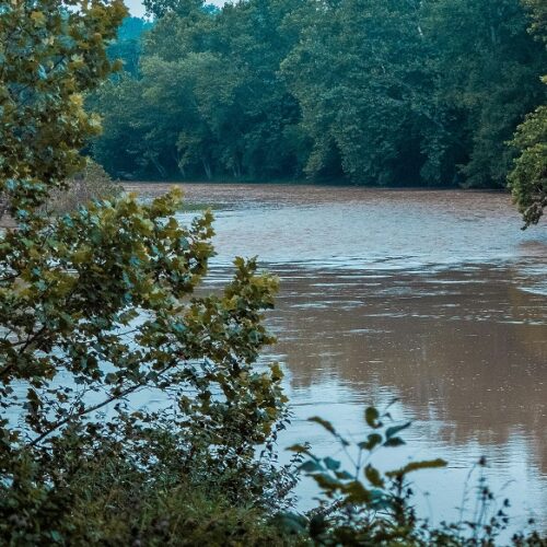 Prova a seminare i Carabinieri attraversando il torrente Olonetta ma resta impantanato. Per lo spacciatore scattano le manette