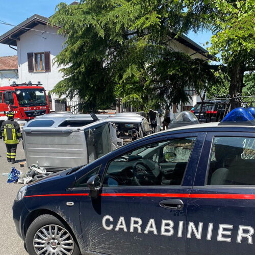 Si ribalta con il fuoristrada per evitare un gatto: illeso