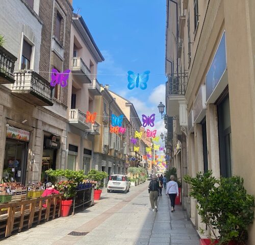 Cento farfalle colorano via Dante e inaugurano “la stagione di rinascita” della via nel cuore di Alessandria