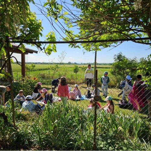 Sabato 1°giugno torna “Scatta il verde”, l’Open Day nelle fattorie didattiche di Agriturist