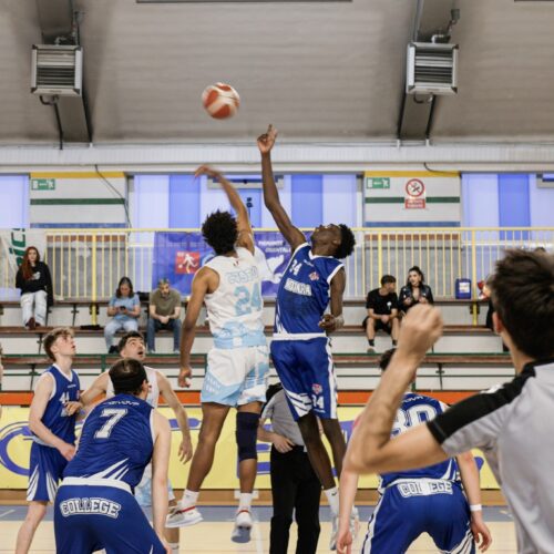 Blindo Office Cuspo Basket Alessandria ko contro Novara: l’obiettivo salvezza si complica