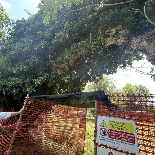 Forte Acqui: presto il recupero dell’arco e sabato il taglio dell’erba per farlo rivivere