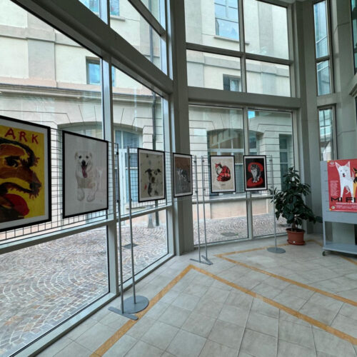 Alla Biblioteca di Alessandria la mostra “Mi fido”: 18 grandi illustratori per il Canile Sanitario