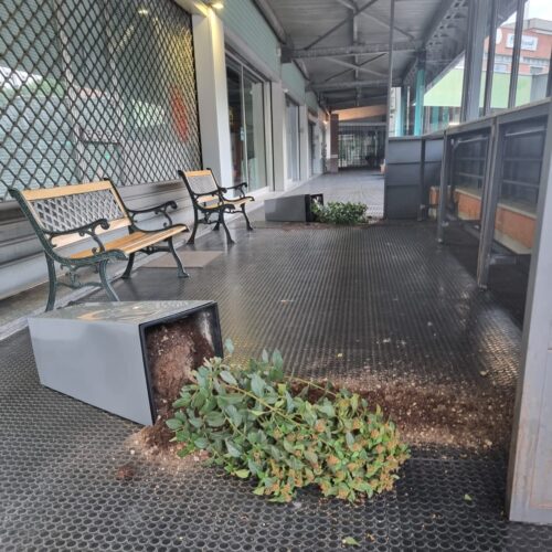 Vasi a terra davanti alla gelateria della Pacto ad Alessandria