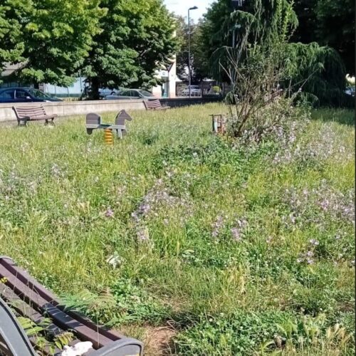 Erba alta e sporcizia. L’amarezza di una cittadina per l’incuria e l’inciviltà nel parco di Spinetta Marengo