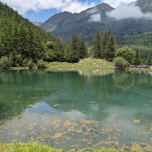 Summer Forest Festival a Usseaux: la musica che risuona tra le montagne